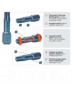 Bit RawlPlug TORX T25 25 mm 2