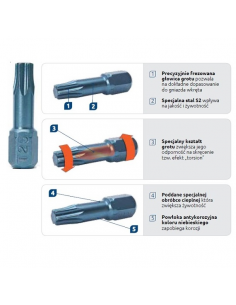 Bity RawlPlug TORX T10 25 mm 2